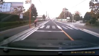 Pedestrian Crossing in Japan Compilation (in tiktok) this will make you cry