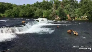 Live Bear Broadcast Booth! - Rangers Naomi & Cheryl go Play by Play at Brooks Falls! July 15th, 2021