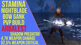 ESO - Stamina Nightblade Bow Gank PVP Build & Gameplay - Arbalest - Stamblade PVP Build - Dragonhold