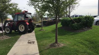 Zetor 4340 Pulling a tree