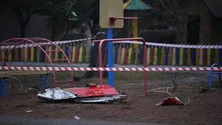 Власти Украины начали расследование крушения вертолета в Броварах
