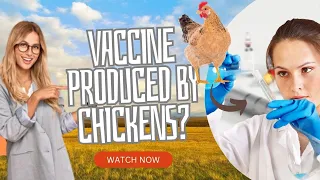 How Transgenic Chickens Revolutionized Vaccine Production | The Story of Eggs and Miracles