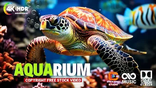 4K Aquarium Experience 🐠 Stunning Fish & Relaxing Piano Music