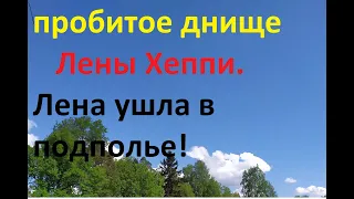 Жизнь как жизнь.Лена Хеппи обиделась.Зрители не оценили -её прекрасную "Лавсторию"