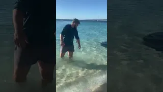 Man greeted by a trio of gentle Manta Rays