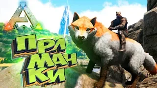 Приманки для ВОЛКОВ - Захватывающие Приручения - ARK Survival Evolved #1