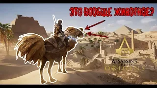 КАК ПОЛУЧИТЬ ВЕЩИ БОГОВ? ASSASSIN'S CREED ORIGINS