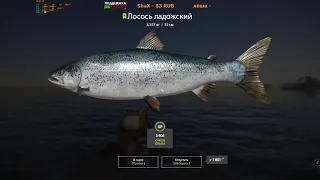 Русская Рыбалка 4-Ладожский Архипелаг