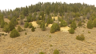 Historic Scudder Mine in the Elkhorn Mining District of Montana