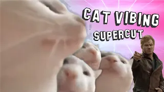 Cat Vibing Supercut