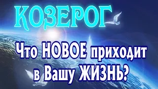 КОЗЕРОГ ♑ Что НОВОЕ Приходит в Вашу ЖИЗНЬ Таро Расклад гадание онлайн