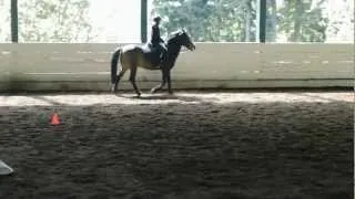 Horse bolts throws kid