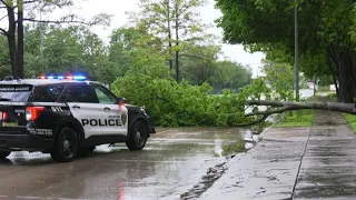 Storm uproots tree that's blocking West 43rd Street in NW Houston