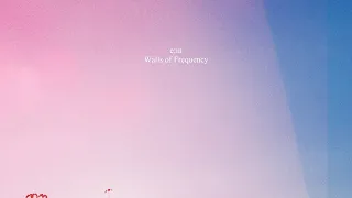 e;in - Walls of Frequency [Full Album]