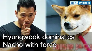 Hyungwook dominates Nacho with force [Dogs are incredible : EP.136-5] | KBS WORLD TV 220823