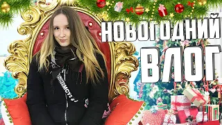 🎄НОВЫЙ ГОД 2020 🎄 НОВОГОДНИЕ ПОКУПКИ! СОБИРАЮ И НАРЯЖАЕМ ЕЛКУ! КОТЫ VS ЕЛКА !