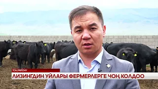 ЛИЗИНГДИН УЙЛАРЫ ФЕРМЕРЛЕРГЕ ЧОҢ КОЛДОО