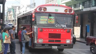Guatemala’s Red Bus, Transurbano, and Transmetro at Plaza El Amate (with one Antigua Video)