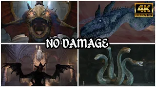 Dragon's Dogma: Dark Arisen | All 44 Bosses & DLC Bosses (NO DAMAGE/HARD MODE) [4K]