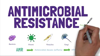 Antimicrobial Resistance (AMR): Stopping the rise of superbugs!