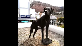 FISH HOEK BEACH AND "JUST NUISANCE" IN SIMON'S TOWN