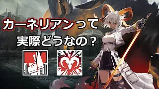 【アークナイツ大陸版】カーネリアン簡易解説付き使用例