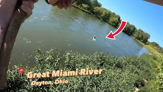 FALL Smallmouth River Fishing - Great Miami River, Dayton, Ohio