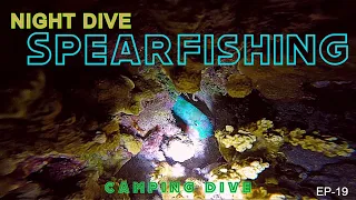 NIGHT DIVE SPEARFISHING IN THE MARSHALL ISLANDS [ep19] S1/Part-4 CAMPING DIVE