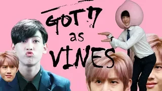 7 minutes of got7 as vines