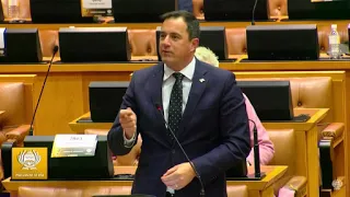 DA Leader, John Steenhuisen in Parliament