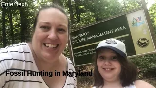 🦈 Finding SHARK TEETH in Maryland!