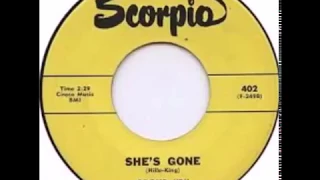Group B -  She's Gone{1965}