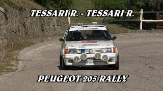 7° REGOLARITA' COLLI EUGANEI - CITTA' DI ESTE 2022 | TESSARI R. - TESSARI R. | PEUGEOT 205 RALLY