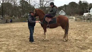 How to NOT get dragged by a horse.