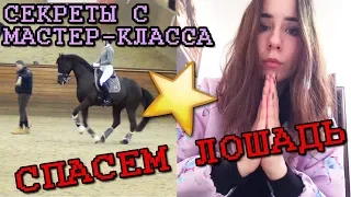 "ФИШКИ" С ПОСЛЕДНЕГО МАСТЕР-КЛАССА ♡ Пиаффе с рыси? | ПРИЗЫВ О ПОМОЩИ