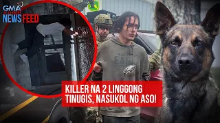 Killer na 2 linggong tinugis, nasukol ng aso! | GMA Integrated Newsfeed