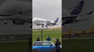 Airbus Beluga landing at EMA! #shorts #aviation #beluga