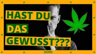 5 Dinge, die dir noch niemand über CBD verraten hat, du aber unbedingt wissen solltest!