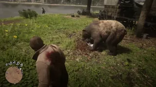 Is this a grizzly bear at Van der Linde's Camp ? | Red Dead Redemption 2