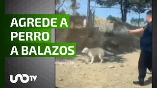 En Tlaxcala, un supuesto funcionario agrede a balazos a un perro.