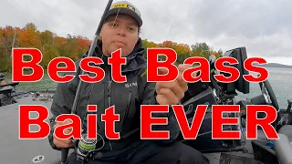 The BEST Smallmouth Bass Bait EVER?