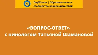 Как научить собаку расслабляться? «Вопрос-ответ» с кинологом Татьяной Шамановой