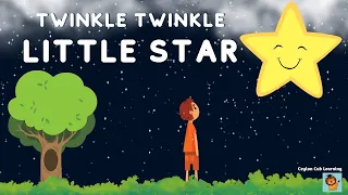 Twinkle Twinkle Little Star | Nursery Rhymes | Learn & Sing With Ceylon Cub Learning