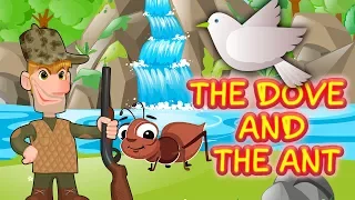 The Dove and the Ant Story | Animated Short Moral Stories for Kids | Kids Channel