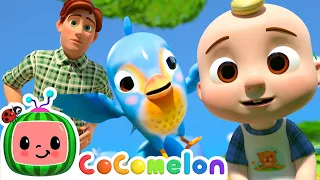 Itsy Bitsy Spider - Birdie Edition! | CoComelon Furry Friends | Animals for Kids