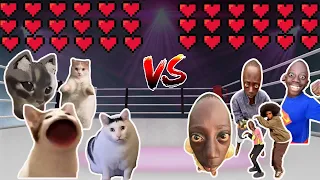 All Tenge Tenge memes VS All Cats Memes Meme Battle Epic Battle