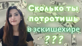 СКОЛЬКО ДЕНЕГ НУЖНО ДЛЯ ЖИЗНИ В ЭСКИШЕХИРЕ | ТУРЦИЯ | ДЛЯ СТУДЕНТОВ | ЦЕНЫ НА ЖИЛЬЕ 2022 | TURKEY