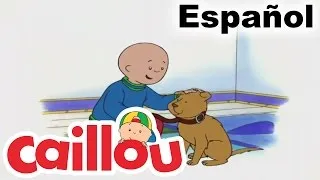 Caillou en Español: El Perro Perdido