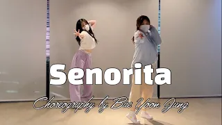 Señorita 세뇨리따 - Shawn Mendes, Camila CabelloㅣYOONJUNG BAE Choreography