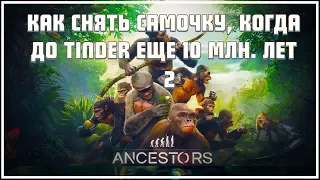 Первобытная эротика и борьба за выживание 🦉 Ancestors: The Humankind Odyssey #2